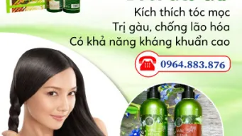 Tác dụng của tinh dầu vỏ bưởi với mái tóc, cách nấu vỏ bưởi để gội đầu